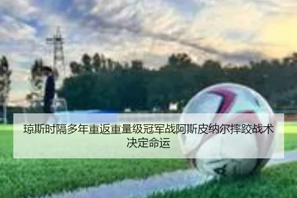 琼斯时隔多年重返重量级冠军战阿斯皮纳尔摔跤战术决定命运