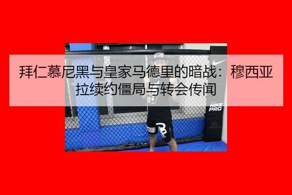 bai-ren-mu-ni-hei-yu-huang-jia-ma-de-li-de-an-zhan-mu-xi-ya-la-xu-yue-jiang-ju-yu-zhuan-hui-chuan-wen-2-985.jpg