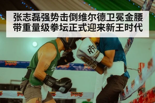 张志磊强势击倒维尔德卫冕金腰带重量级拳坛正式迎来新王时代